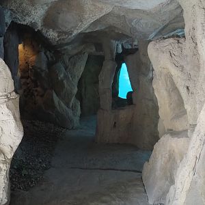California sea lion underwater viewing cave, 2024-08-05