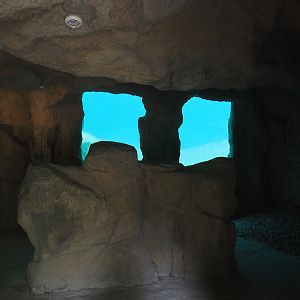 California sea lion exhibit underwater viewing cave, 2024-08-05