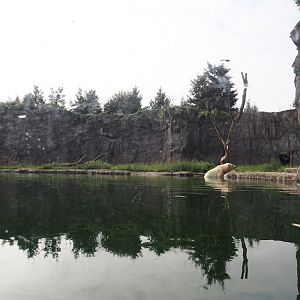 Polar bear exhibit, 2024-08-05