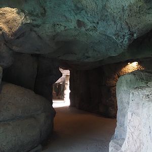 Polar bear underwater viewing cave, 2024-08-05