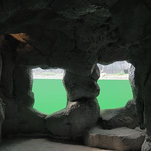 Polar bear underwater viewing windows in cave, 2024-08-05