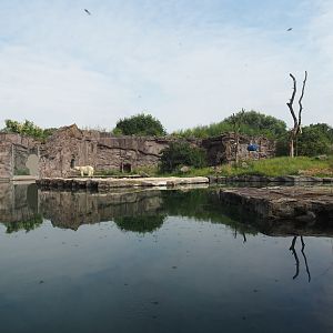 Polar bear exhibit, 2024-08-05