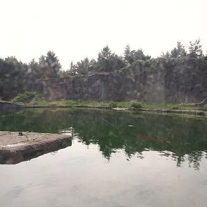 Polar bear exhibit, 2024-08-05