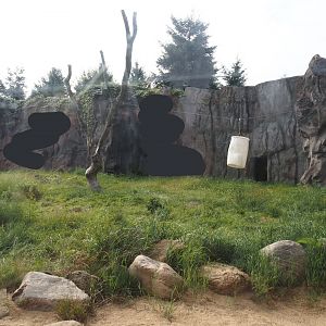 Polar bear exhibit, 2024-08-05