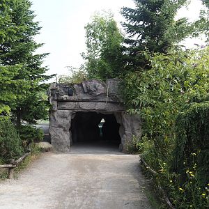 Polar bear viewing cave, 2024-08-05