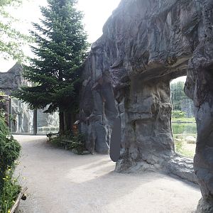 Polar bear viewing windows, 2024-08-05