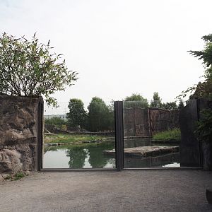 Polar bear exhibit, 2024-08-05