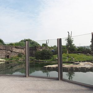 Polar bear exhibit, 2024-08-05