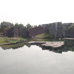 Polar bear exhibit, 2024-08-05