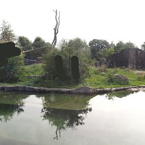 Polar bear exhibit, 2024-08-05