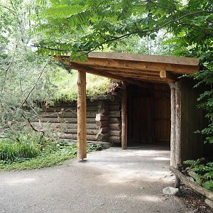 Mackenzie Valley wolf viewing area, 2024-08-05