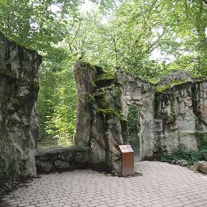 Mackenzie Valley wolf viewing windows, 2024-08-05