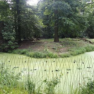 Mackenzie Valley wolf exhibit, 2024-08-05