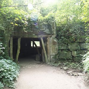 North American river otter viewing area, 2024-08-05