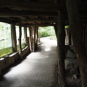 North American river otter viewing area, 2024-08-05