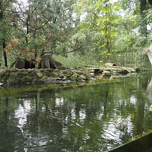 North American river otter exhibit, 2024-08-05