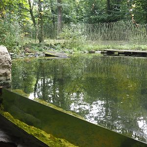 North American river otter exhibit, 2024-08-05