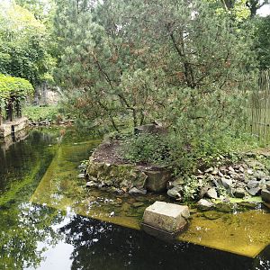 North American river otter exhibit, 2024-08-05