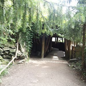 North American river otter viewing area, 2024-08-05