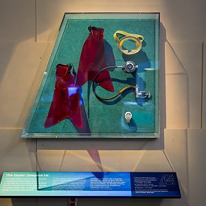 Sylvia Earle's Ruby Red Flippers