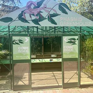 Phasmid Greenhouse (Exterior)
