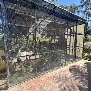 Backyard to Bush Aviary