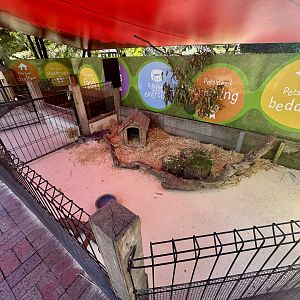 Backyard to Bush - Rabbit Exhibit