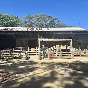Backyard to Bush - Shearing Shed