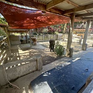 Backyard to Bush - Stables