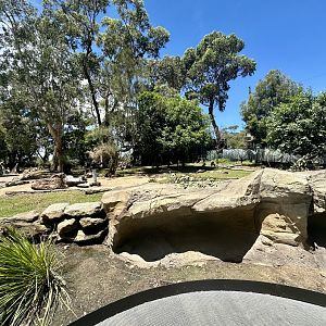 Macropod/Emu Walkthrough