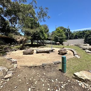 Macropod/Emu Walkthrough
