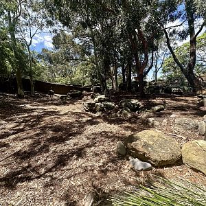 Macropod/Emu Walkthrough