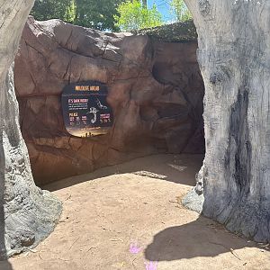 Nocturnal House (Entrance)