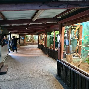 Indoor Area, Drusillas Park