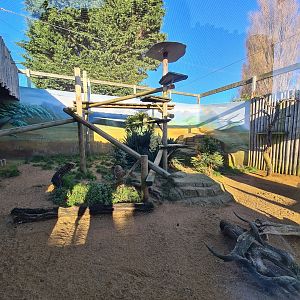 Serval Enclosure, Drusillas Park