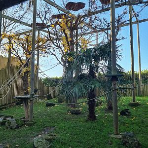Lar Gibbon Enclosure, Drusillas Park