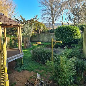 Anteater and Agouti Enclosure, Drusillas Park