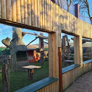 Colobus Viewing Area, Drusillas Park