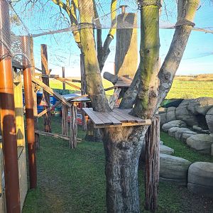 Colobus Enclosure 3, Drusillas Park