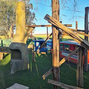 Colobus Enclosure 2, Drusillas Park