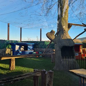 Colobus Enclosure 1, Drusillas Park