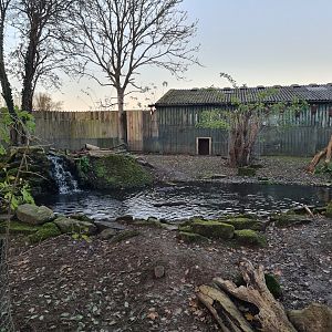 Beavers Swimming, Drusillas Park