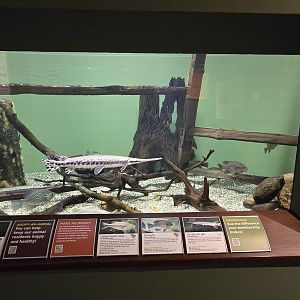 Mountains - Reservoir