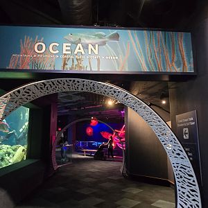 Ocean - Entry sign