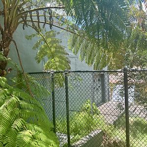 Old Small Cats Building (Tasmanian Devil Building)