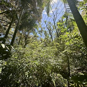 Australian Rainforest Aviary