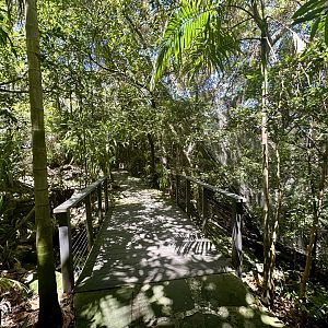Australian Rainforest Aviary