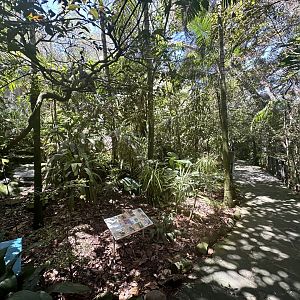 Australian Rainforest Aviary