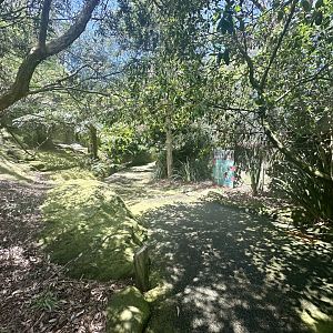 Blue Mountains Bushwalk Aviary