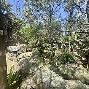 Blue Mountains Bushwalk Aviary